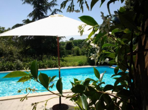 Hotels in Saint-Martin-du-Bois